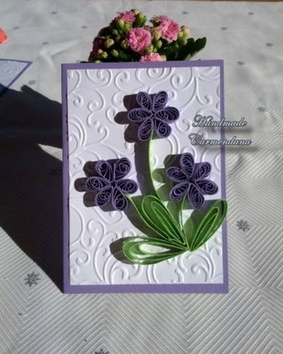 Felicitare