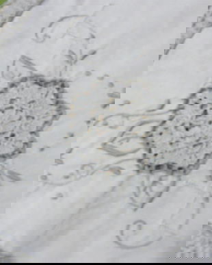 Fata de masa cu broderie si dantela