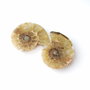 Set 2 jumatati pereche - Amonit fosil