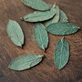 Pandant Frunza bronz patinat verdigris - charm - vintage patina leaf