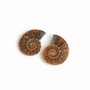 Set 2 jumatati pereche - Amonit fosil