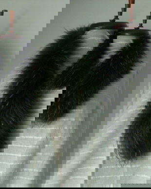 GULER BLANA VULPE GRI