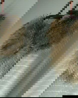 GULAR BLANA NATURALA VULPE