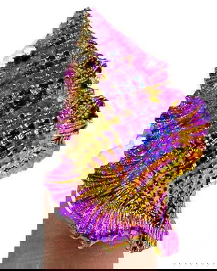 Ag246 - Inel, argint 925, cochilie melc titanium