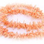 Coral piersica, tepi  5-10mm (10buc) GSLAK 088