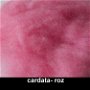 cardata - roz-25g