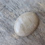 Cabochon jasp, 40x30 mm