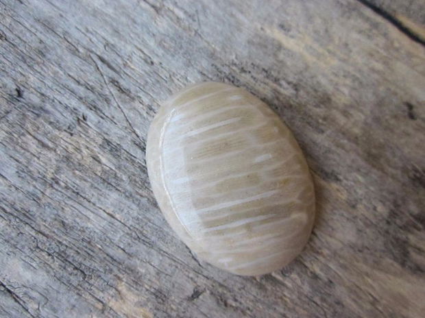 Cabochon jasp, 40x30 mm