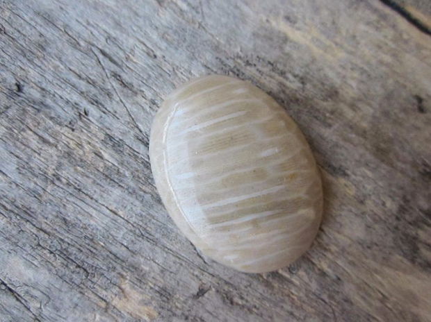 Cabochon jasp, 40x30 mm