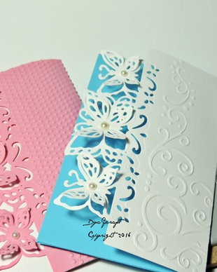Plicuri bani Butterfly Papillon