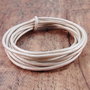1m snur, piele, ivory metalizat 2mm (KORD 8036)