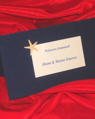 Plic de bani handmade tematica marina