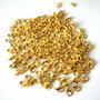 Inchizatoare carabina aurie