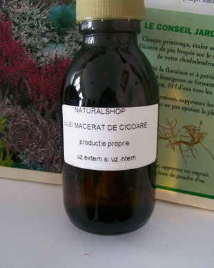 ULEI MACERAT DE CICOARE -antiiflamatoare, antioxidanta, hidratanta, emolienta