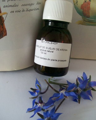 HIDROLAT DE MUGURI DE ARONIA- mineralizant, tonic, antioxidant