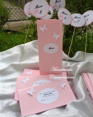 Set papetarie  nunta / botez  tematic fluturi