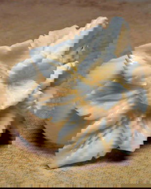 6758 - Inel, os sculptat manual, floare si frunze