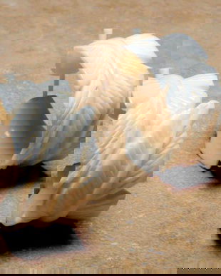 6764 - Cercei, os sculptat manual, frunze