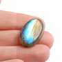 Cabochon Labradorit  flashy  oval - multicolor -HQ