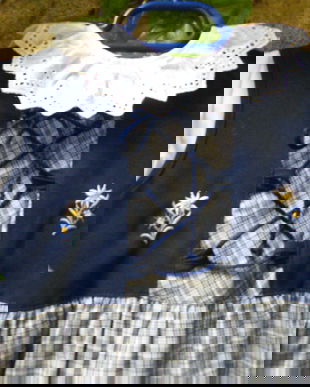 Costum rustic fetite