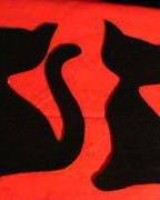 Aplicati pisici cu adeziv