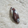 Cabochon taietura Marquise din Crazy Lace Agate aprox 5.5x13x34 mm