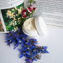 Crema hidratanta ten normal cu extracte de trandafiri, catina si lavanda