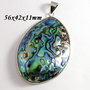 6427V - Pandantiv, scoica paua / pawa abalone, rama argintie,