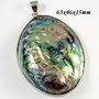 7911V - Pandantiv, scoica paua / pawa abalone, rama argintie,