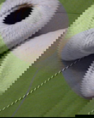 Bumbac crem(mediu)-100gr