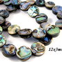 7915 - (5buc) Margele scoica paua abalone, disc,