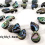 7916V - (4buc) Margele scoica paua abalone, disc,