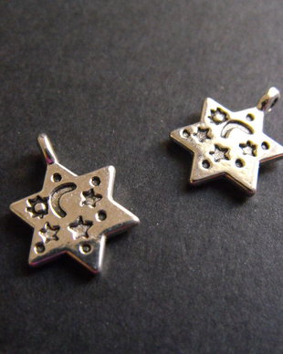 PANDANTIV STEA - 20 X 14 MM