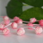 Coral sculptat  10mm (1)