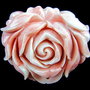 7924 - Pandantiv, scoica tridacna, vopsita, roz flamingo alb, 53x44x21mm