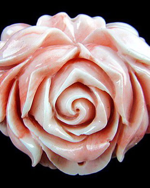 7924 - Pandantiv, scoica tridacna de sinteza, vopsita, roz flamingo alb, 53x44x21mm