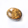 Jasper oceanic - specimen rulat