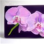 Poseta plic Radient Orchid