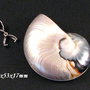 7943V - Pandantiv, melc nautillus, sidef