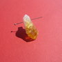 Citrine crystal point 1 aprox 11x16x26 mm