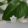 Sidef 11-12mm (1)