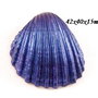 7947 - Pandantiv, scoica vopsita manual, iridescent, bleumarin navy, efect metalizat