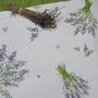 Traversa cu lavanda