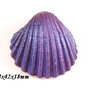 7962 - Pandantiv, scoica vopsita manual, iridescent, bleumarin, efect metalizat