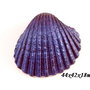7961 - Pandantiv, scoica vopsita manual, iridescent, bleumarin, efect metalizat