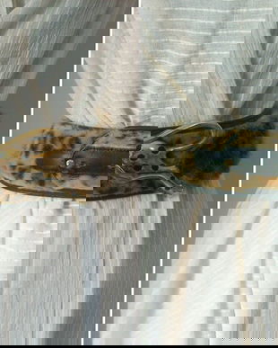 French curea blana si metal