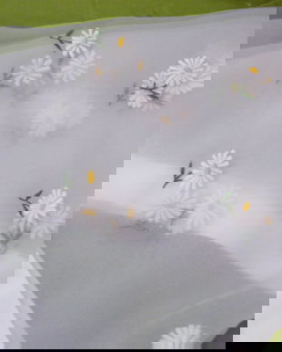 Fata de masa cu margarete brodate