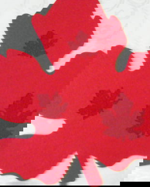 2 Suporturi pasla-frunze