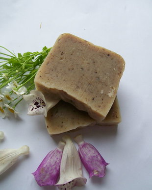 " ARGALIA " SAMPON NATURAL REGENERANT CU MIERE , PROPOLIS SI MORINGA