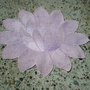 Floare de lotus1